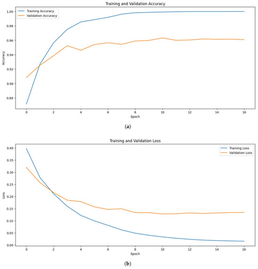 Figure 5. (a) Training and validation accuracy, and (b) the training and validation loss of the ViT model.