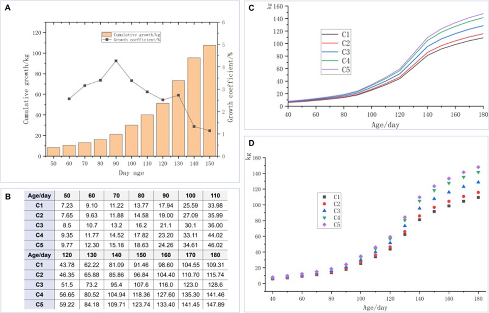Figure 11. (A) Cumulative growth and growth coefficient of pigs from 50 to 150 days of age, (B) Predicted weight data (kg) of pigs in different classes at each stage after classification based on five categories, (C) Line graph of predicted weight data for each class, and (D) Point plots of predicted weight data for each class.