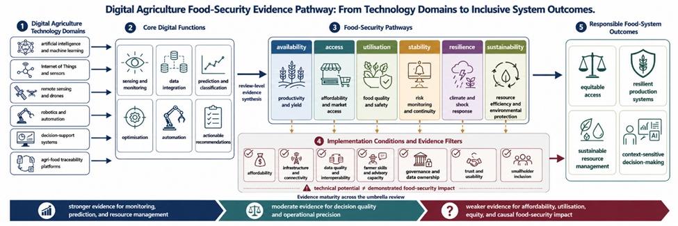 Figure 1. Digital Agriculture Food-Security Evidence Pathway: From Technology Domains to Inclusive System Outcomes