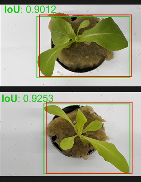 Figure 9. Object detection by Mask-RCNN with the resulting IoU metric.