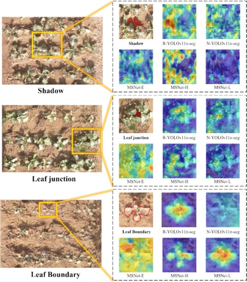 Figure 8. Comparison of Grad-CAM heatmaps for single-modality YOLO and MSNet. The redder areas represent regions that receive more attention from the model.