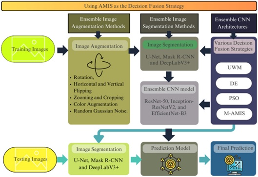 Figure 4. Framework of the np-AMIS.