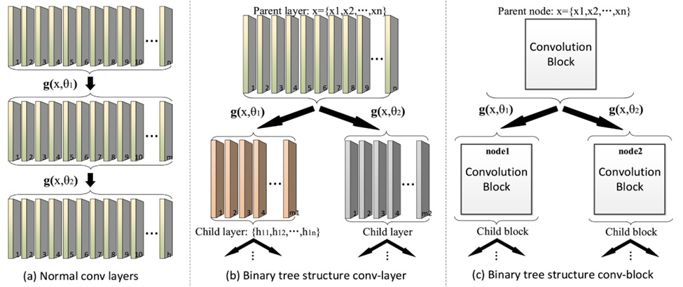 Figure 1. Normal conv-layers and BTSC module. (a) Normal conv-layers; (b) Binary tree structure conv-layer; (c) Practically, a convolution block that contains several conv-layers can be used to replace the single conv-layer in (b).