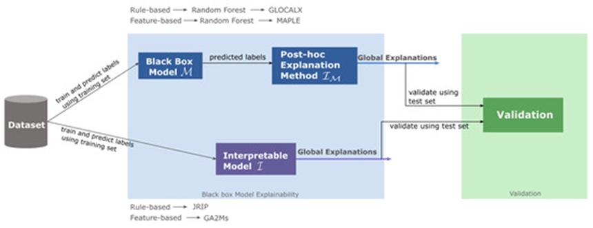 Figure 1. Experimental setup for comparing post-hoc explanations to directly trained interpretable models.