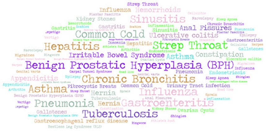 Figure 2. Word cloud visualization of the diseases included in the dataset.