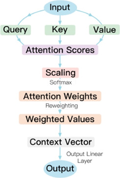 Figure 5. The diagram of the self-attention (SA) layer. The layer is integrated and optimized into the SA-CNN model.