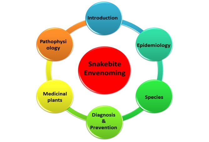 Figure 1. Graphical representation of Snakebite Envenoming.