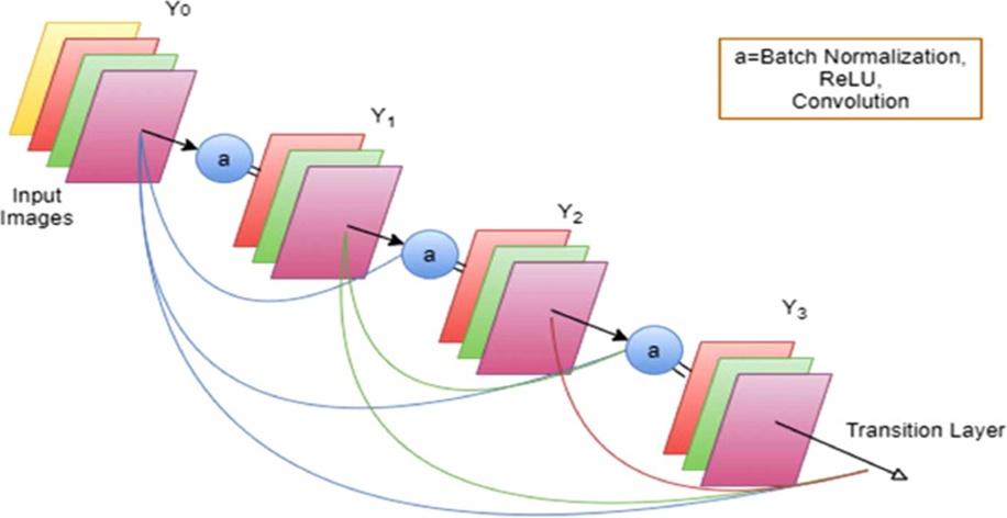 Figure 1. Architecture of DenseNet (image has been made by A.M.P using draw.io by referring to Huang et al. [22]).