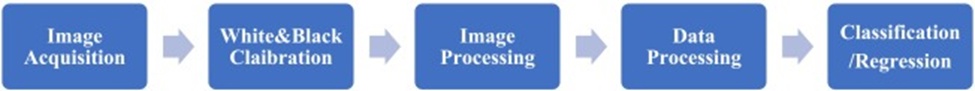 Figure 5. HSI collection and processing involved in woody breast analysis.