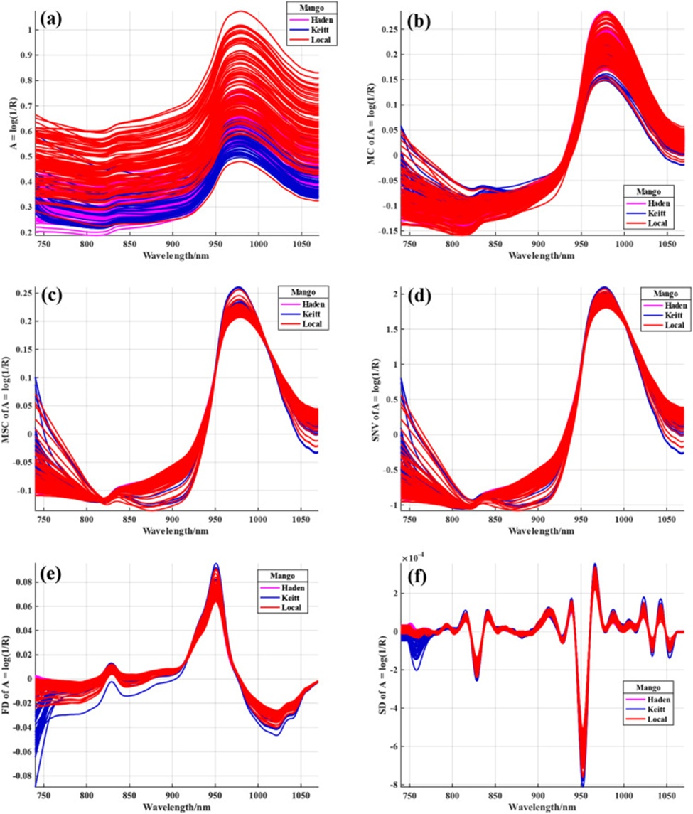 Figure 2. Spectra of RAW (a), MC (b), MSC (c), SNV (d), FD (e) and SD (f).