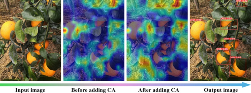 Figure 14. Heatmaps before and after adding CA.