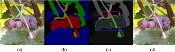 Figure 14. Localization failures in grape peduncle occlusion and misidentification scenarios: (a) Original image, (b) Semantic segmentation result, (c) Picking point localization result, and (d) Visualization of the picking point on the original image.