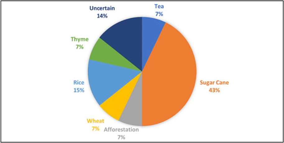 Figure 2. Distribution of the studies examined by plant species.