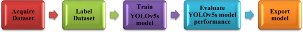Figure 2. Procedure for developing and implementing a YOLOv5s-based crop and weed classification scheme.