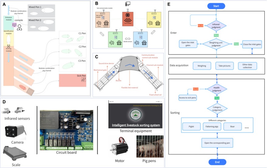 Figure 2. (A) Automatic sorting systems in pig houses, (B) Star network structure, (C) Schematic of the module components, (D) Schematic of the system control, and (E) System flow chart.