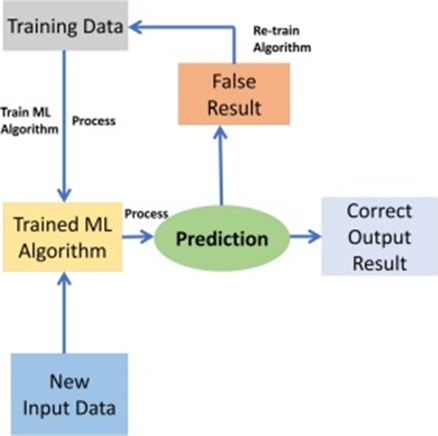 Figure 3. Procedural flow schematic for ML algorithm handling.