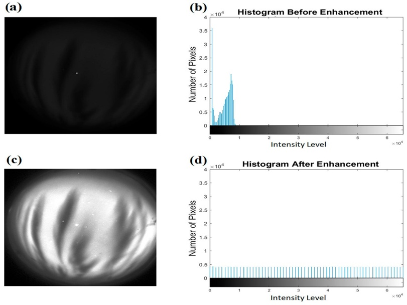 Figure 1. Raw frame from the BJL monitoring post (a) accompanied by its respective pixel histogram (b), whereas (c) illustrates the identical frame following contrast optimization and (d) displays the equalized histogram.