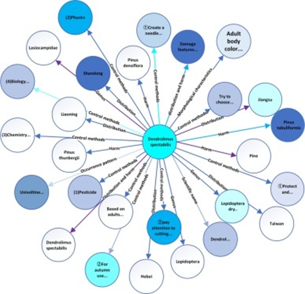 Figure 5. “Red Pine Caterpillar” entity relationship.