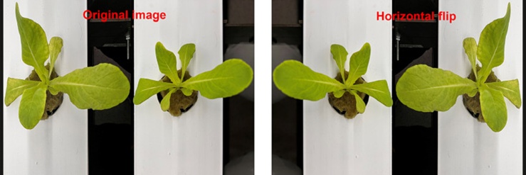 Figure 3. Example of an augmented image.