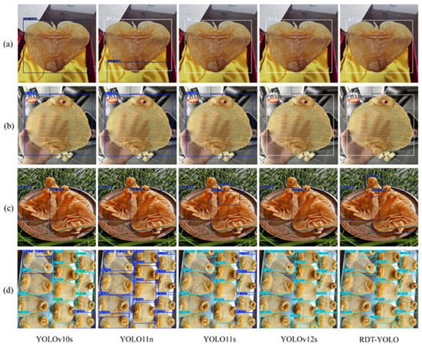 Figure 12. Comparison of test results for different models: (a) simple single-target detection scenario, (b) complex single-target detection with background interference, (c) occluded target detection with mutual occlusion, and (d) dense target detection with closely arranged targets.
