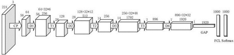 Figure 8. DenseNet-201 architecture.