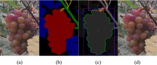 Figure 10. Semantic reasoning and picking point localization results in General Scenarios: (a) Original image, (b) Semantic segmentation result, (c) Picking point localization result, and (d) Visualization of the picking point on the original image.