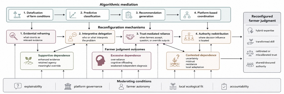 Figure 2. Proposed Theory of Human–AI Decision Dependence in Smart Farming: Mechanisms Linking Algorithmic Mediation to Reconfigured Farmer Judgment