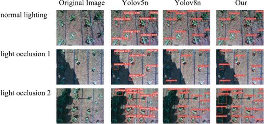 Figure 5. Recognition effect of different models.
