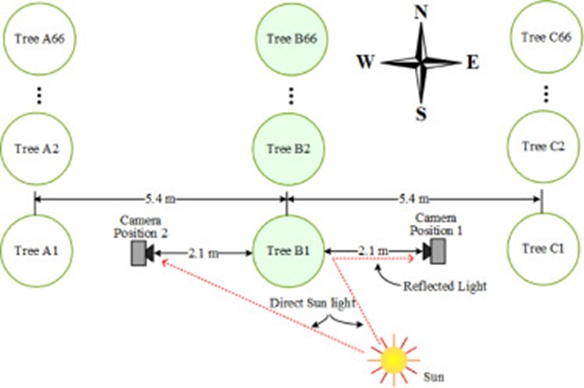 Figure 3. The top view of the configuration of the experiment.