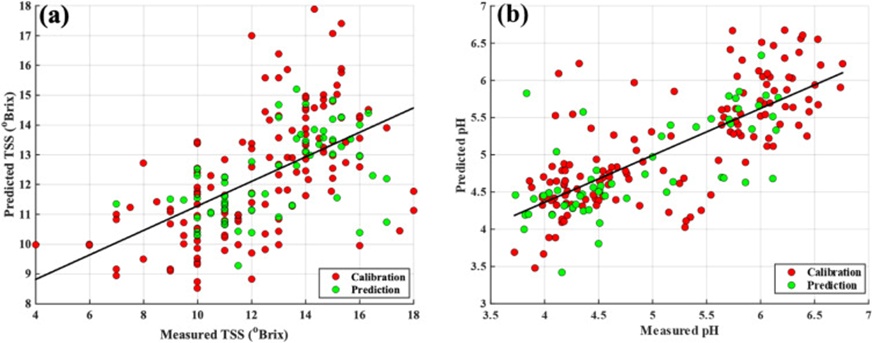 Figure 7. Scatter plot of reference measured versus handheld NIR predicted (a) TSS and (b) pH by the SiPLS model.