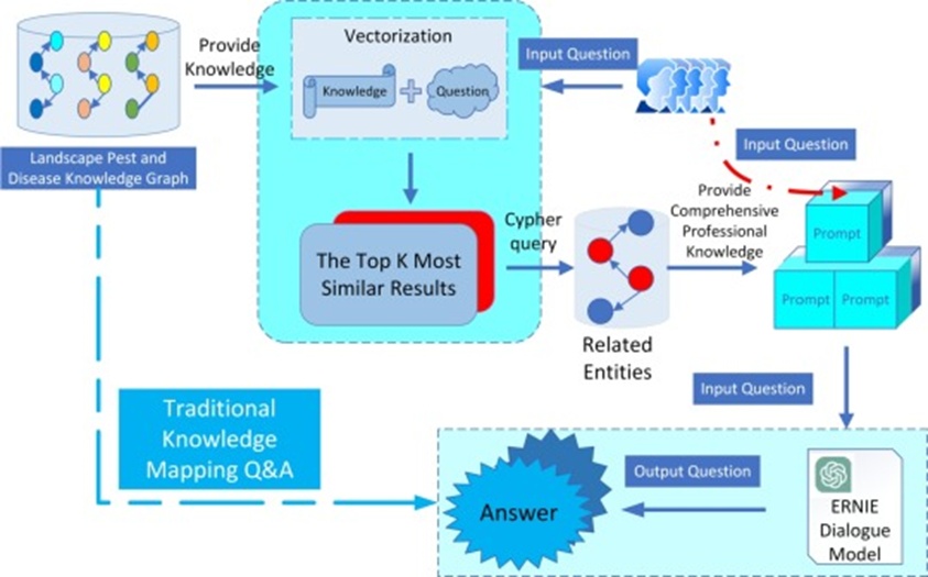 Figure 6. Q&A process.