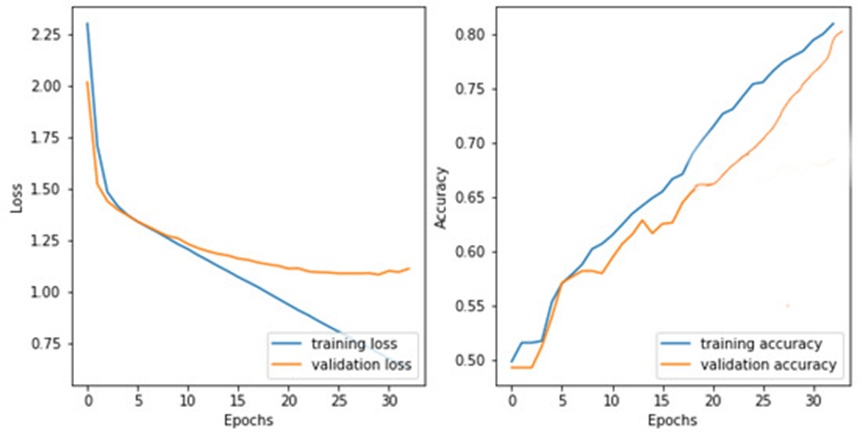 Figure 7. Learning curve depicting SEDL performance evaluation during model training.