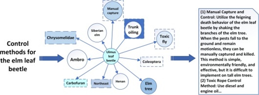 Figure 11. Knowledge graph retrieval.