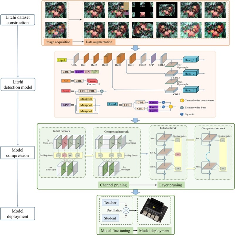 Figure 2. Overall scheme of the proposed method.