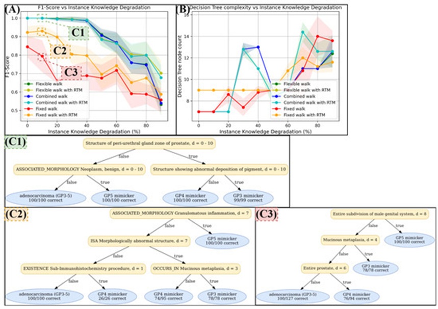 Figure 9. Test results on the knowledge graph ProstateToyGraph, as introduced in Section 2.2.4. As introduced in Section 3.1, we applied instance knowledge degradation to simulate more or less available case informations (x-achsis in (A) and (B)). In diagram (A), we can see that the fixed walking depth strategy initially classifies worst (red curve), but improves significantly with RTM (orange curve), especially if enough instance knowledge is available (0–40% degradation). For flexible and combined walking strategies, another significant performance jump is observed, though the improvement is marginally enhanced by RTM. According to diagram (B), the complexity of decision trees generated by flexible and combined strategies is sometimes higher than those generated by the fixed strategy. (C1–C3) shows some examples of the produced decision trees. Some decisions by these trees were deemed comprehensive by our specialists. For example, “structure showing abnormal deposition of pigment” in (C1) indicates seminal vesicles, which are indeed a mimicker of GP 3. However, several decisions are less comprehensive and based on vague and broad concepts that are high in the Snomed CT hierarchy.
