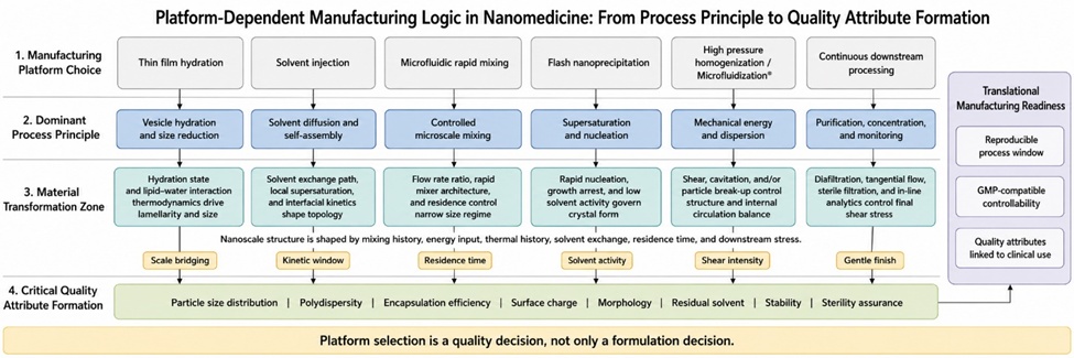 Figure 1. Platform-Dependent Manufacturing Logic in Nanomedicine: From Process Principle to Quality Attribute Formation
