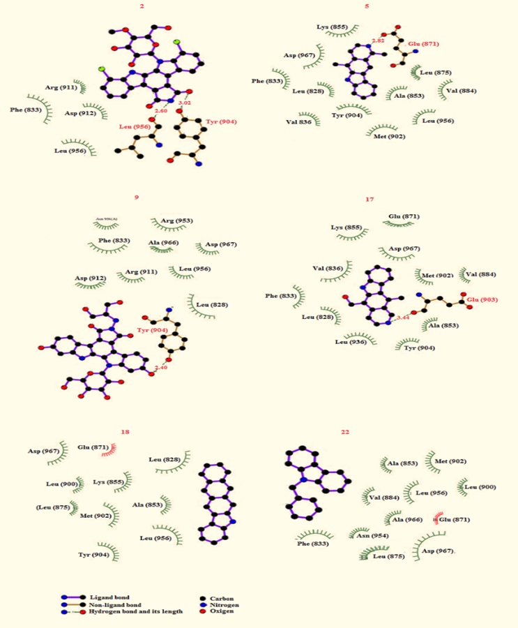 Figure 2. Coupling carbazole derivatives (2, 5, 9, 17, 18, and 22) with the 3pjc protein surface.