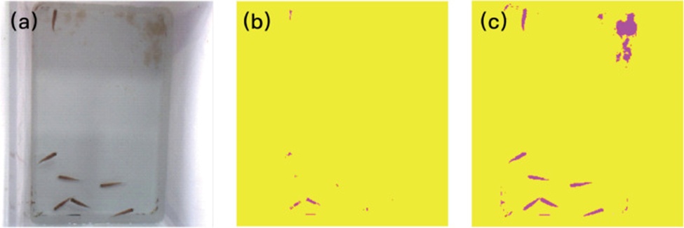 Figure 2. Illustration of image processing by clustering separation effects: (a) Original image, (b) The effects by conventional k-means clustering separation, and (c) improved k-means clustering separation.