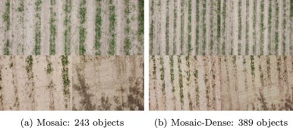 Figure 12. Comparison of mosaic and mosaic-dense object information acquisition.