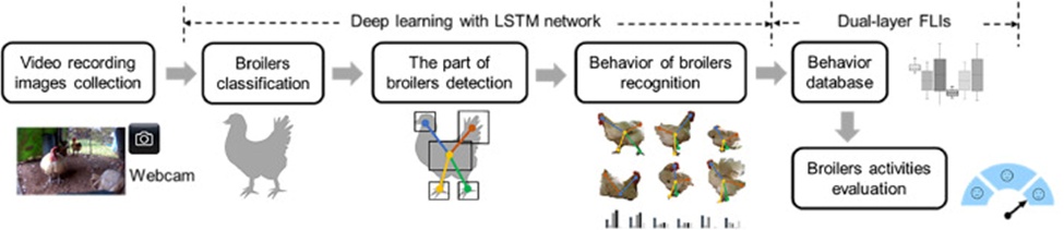 Figure 1. Schematic of the proposed broiler posture and activity evaluation scheme.