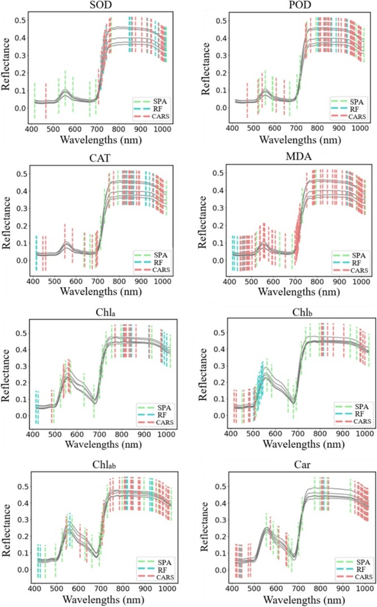 Figure 8. Characteristic wavelengths selected by SPA, RF, and CARS for different physiological indicators.