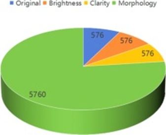 Figure 6. The number of images generated by data augmentation methods.