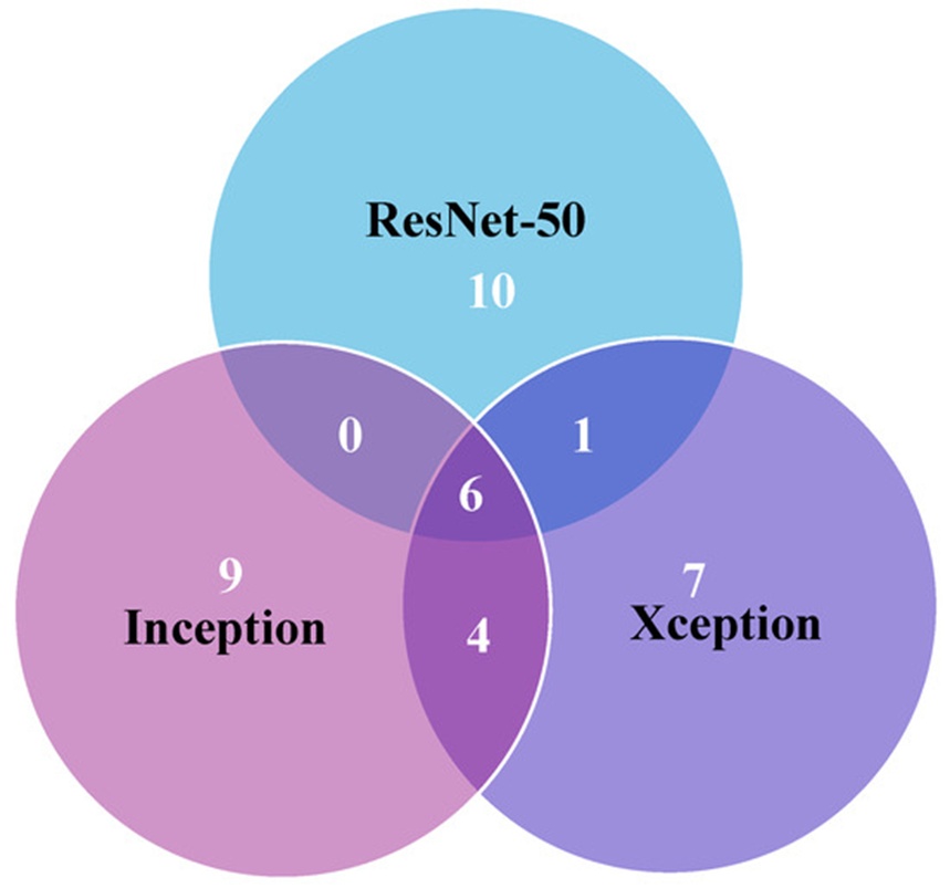 Figure 10. Error analysis among ResNet-50, Xception, and InceptionV3 models.
