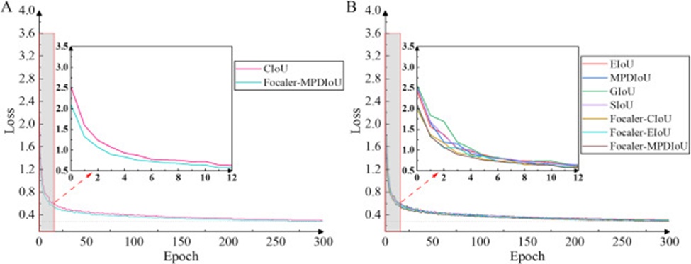 Figure 15. Comparison of loss curves for different loss functions: A) Comparison with the original loss function, and B) Comparison with other loss functions.
