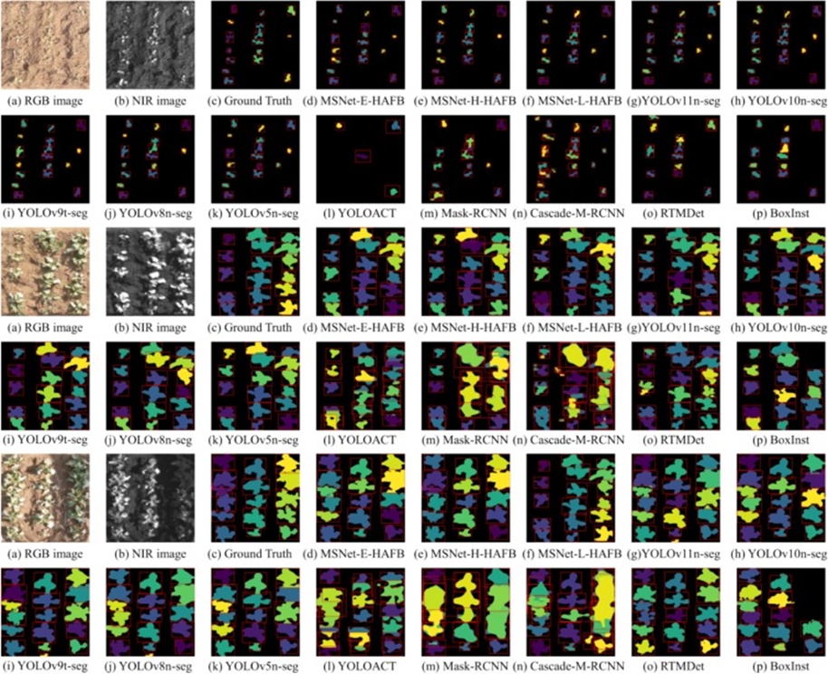 Figure 11. Detection comparison between MSNet and mainstream instance segmentation networks. The three sets of images, from top to bottom, represent small, medium, and large targets. Each set of samples includes the original RGB image, NIR channel image, and segmentation predictions from multiple models.