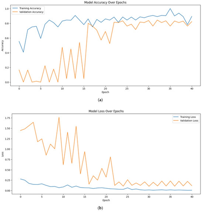 Figure 4. (a) Training and validation accuracy, and (b) the training and validation loss of EfficientNetB0.