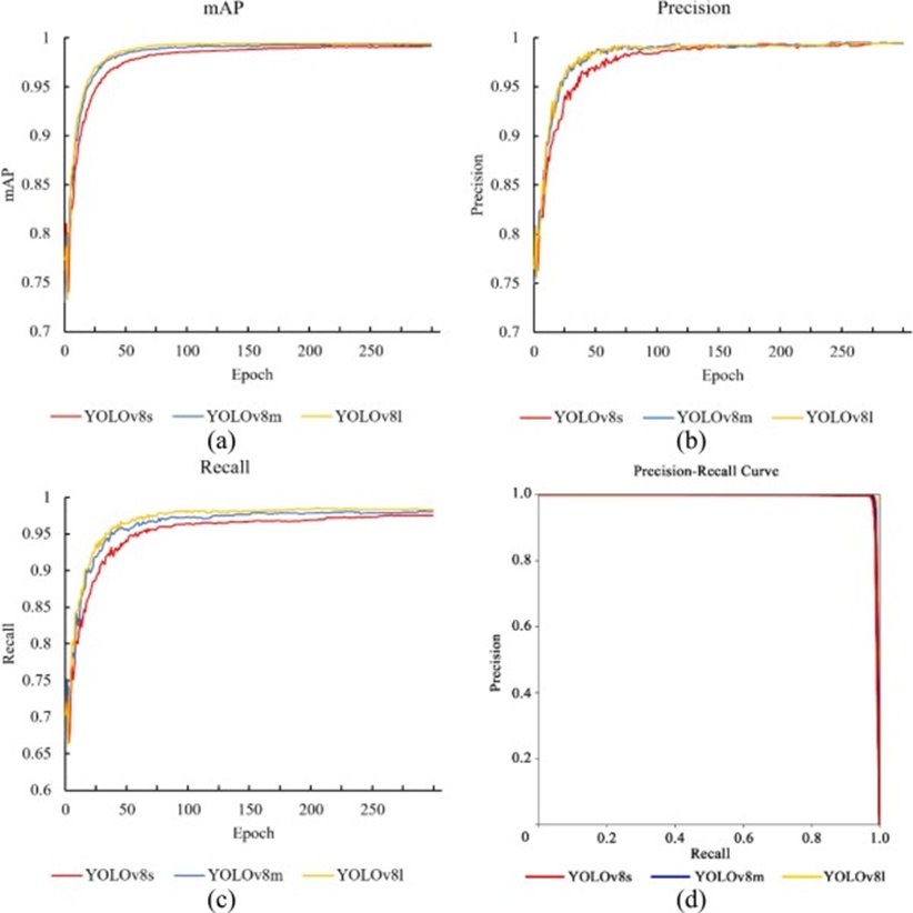 Figure 9. Comparison of mAP curves, Precision, Recall, and Precision-Recall curves of watermelon object detection models: (a) mAP curves, (b) Precision curves, (c) Recall curves, and (d) Precision-Recall curves.