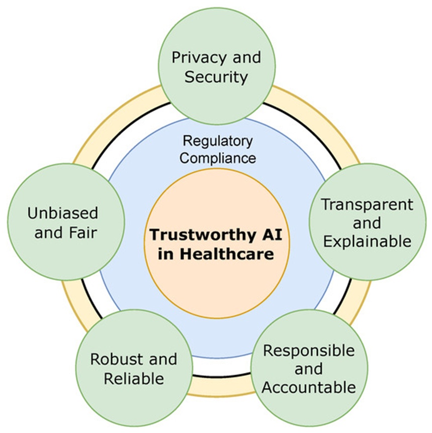 Figure 1. Framework of trustworthy AI in healthcare.