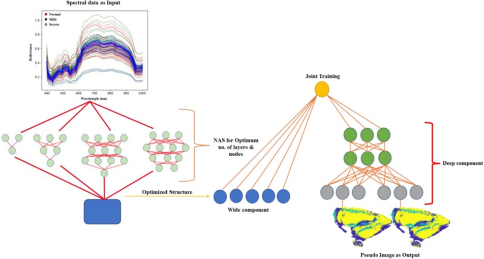 Figure 1. Neural network architecture search enabled a wide and deep network model.