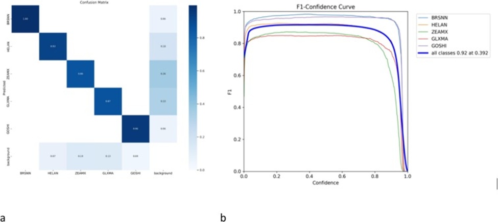 Figure 15. Test performance metrics results: (a) confusion matrix for the test dataset, and (b) F1-confidence curve.